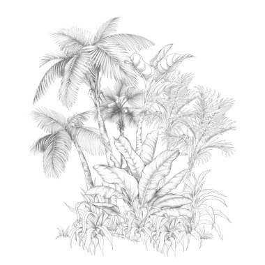 El yapımı palmiye ağaçları ve kalem çizimi tarzında tropikal yapraklar. Tek renkli botanik tasarım.