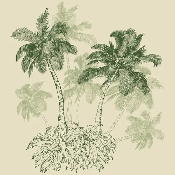 Tropik hindistan cevizi palmiyeleri. Tasarım için elle çizilmiş yeşil elementler. Çizgi sanatı tarzında botanik illüstrasyon.