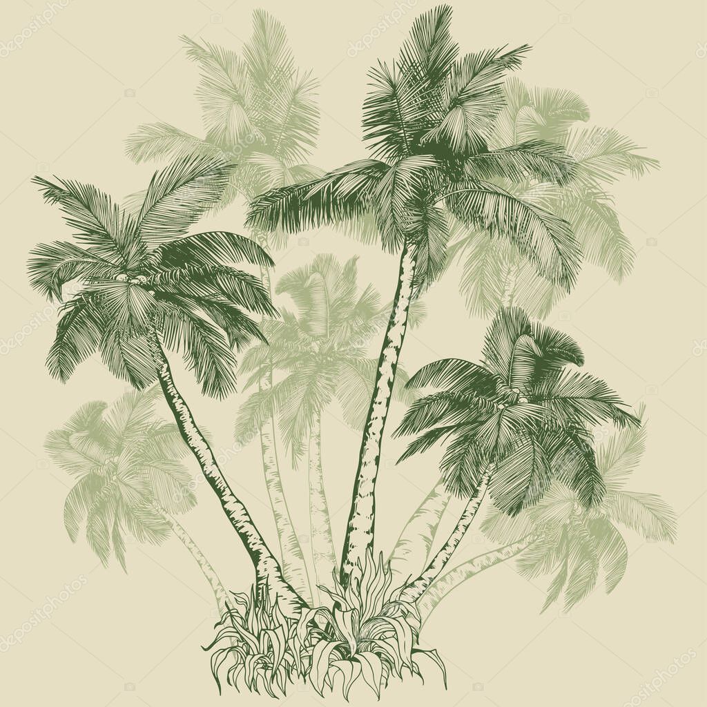 Tropical coconut palm trees. Hand drawn green elements for design. Botanical illustration in line art style.