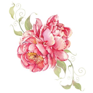 Pembe Şakayık Clip Sanatı. Yaprakları ve dalları olan suluboya çiçek aranjmanı. El boyaması, izole edilmiş çizim.