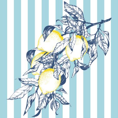 Klasik mavi çizgili arka plan üzerine yerleştirilmiş limon meyveli bir meyve dalının zarif çizgili sanat vektör çizimi. Amalfi Sahili 'nin zamansız Akdeniz estetiğinden esinlenilmiştir. Yaz temalı baskılar, ambalaj ve tekstil için mükemmel.