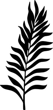 Tropikal titreşimler, şeffaf bir arka planda palmiye yapraklarının çarpıcı bir görüntüsüyle, zarif siluetlerini sergiliyorlar..