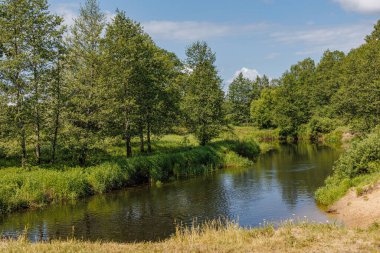 Vahşi doğanın fısıltıları: Serene Nehri, yemyeşil gölgelerden geçiyor, Doğanın sükunetini ve ahengini kucaklıyor..