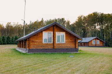 Vahşi Doğanın Fısıltıları İki Büyüleyici Ağaç Kulübeleri Yeşilliğin ve Yükselen Ağaçların Ortasında Yuvalanmış