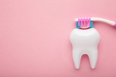 White healthy tooth model and dental toothbrush on pink background with copy space. Dental care and healthcare concept. Top view