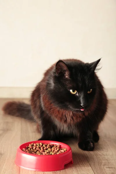 Frumoasă Pisică Întunecată Care Mănâncă Hrană Pentru Animale Companie Fundal — Fotografie, imagine de stoc