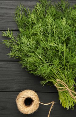 Siyah arka planda taze yeşil dereotu. Üst görünüm