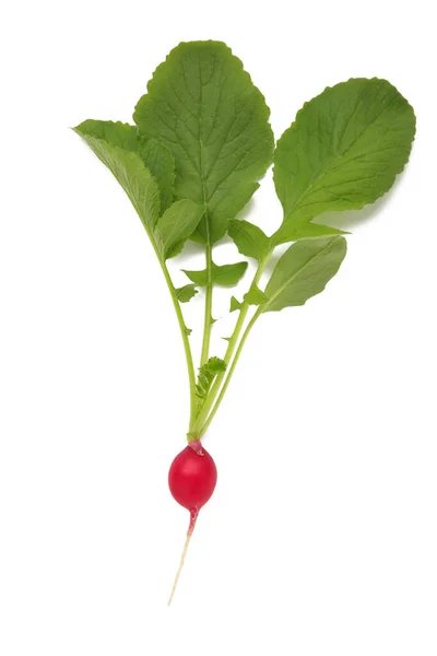 stock image Red radish with leaves isolated on white background. Flat lay. Top view