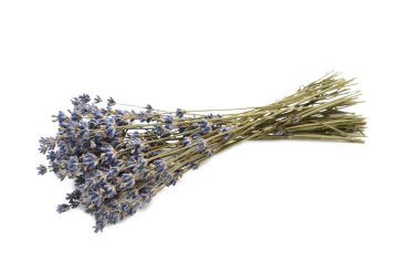 Beyaz arkaplanda kuru lavanta çiçekleri var. Üst görünüm
