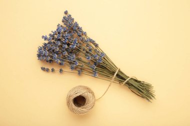 Bej arka planda kurutulmuş lavanta buketi. Üst görünüm