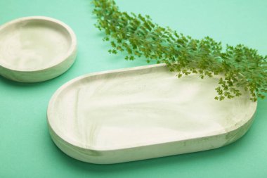 Nane arkaplanda yeşil yapraklı nane alçıdan tepsiler. Mumlar ya da mücevherler için. Üst görünüm