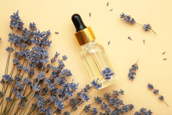 stock image Flat lay composition with lavender flowers and lavender oil on beige background. Top view