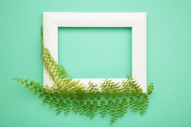 Nane yeşili yapraklı beyaz ahşap çerçeve. Üst görünüm