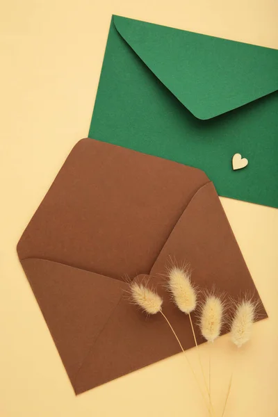 Envelopes Marrons Verdes Bege Com Flores Secas Foto Vertical Vista — Fotografia de Stock