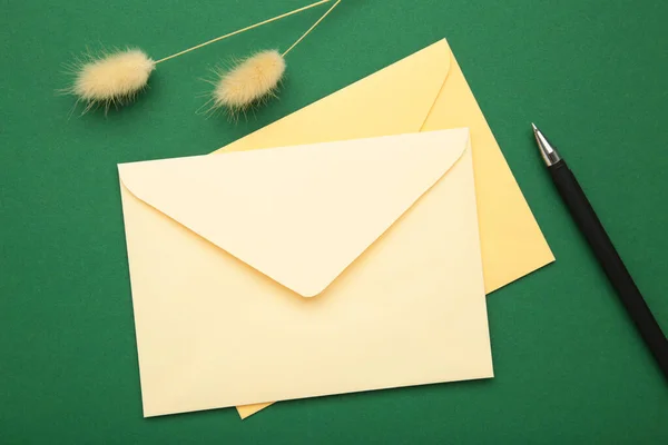 Envelope Bege Com Fita Verde Com Flores Secas — Fotografia de Stock