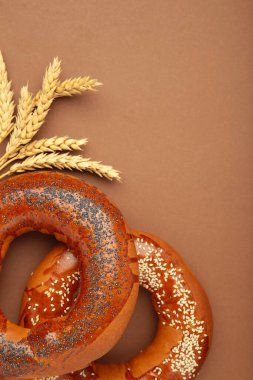 Kahverengi zemin üzerinde haşhaş tohumu olan taze ekmek simitleri. Üst görünüm