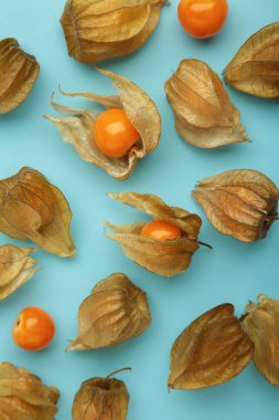 Mavi arka planda Physalis Peruviana meyvesi. Dikey fotoğraf. Üst görünüm