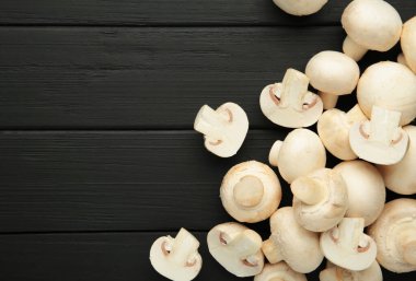 Siyah arka planda taze beyaz mantar şampiyonu. Üst görünüm