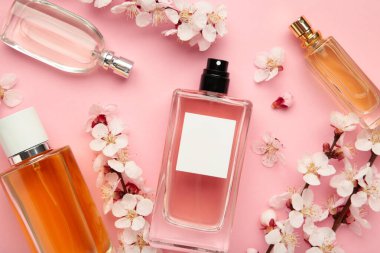 Pembe arka planda, bahar kayısı ve kiraz çiçekli kadın parfümü şişeleri. Üst görünüm