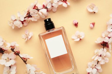 Bahar kayısı ve kiraz çiçekleriyle bej arka planda bir şişe kadın parfümü. Üst görünüm