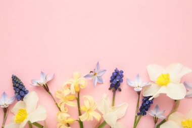 Pembe arka planda bahçe çiçekleri. Mesaj için yer var. Üst görünüm