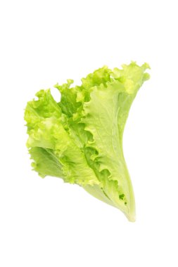 Marul yaprakları beyaz arka planda yalıtılmış. Üst görünüm