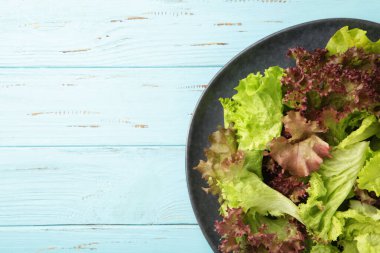 Taze kırmızı ve yeşil marul tabakta mavi ahşap arka planda. Üst görünüm