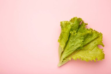 Pembe arka planda taze yeşil marul yaprakları. Mesaj için yer var. Üst görünüm