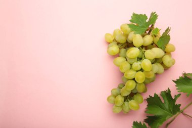 Pembe arka planda yaprakları olan yeşil üzüm. Metin için boşluk