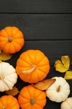 Sonbahar kompozisyonu. Siyah arka planda sonbahar yaprakları olan beyaz ve turuncu balkabağı. Dikey fotoğraf