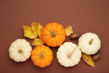 Balkabaklarından ve kahverengi arka plandaki yapraklardan yapılan şenlikli sonbahar dekoru. Üst görünüm