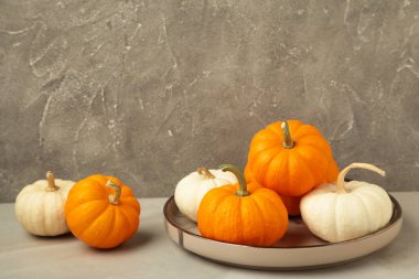 Sonbahar kompozisyonu. Gri arkaplanda taze turuncu ve beyaz balkabağı.