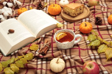Merhaba sonbahar. Balkabağı, çay, elmalı turta, sonbahar yaprakları, ekose üzerine kitap. Üst görünüm