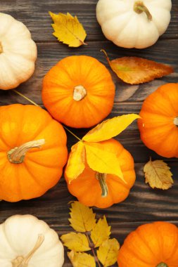 Sonbahar kompozisyonu. Kahverengi arka planda sonbahar yaprakları olan taze portakal ve beyaz balkabağı..