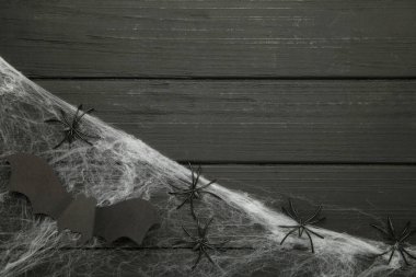 Örümceklerle yapay örümcek ağı dekorasyonu ve siyah arka planda yarasa.