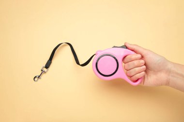 Bej arka planda geri çekilebilir köpek tasması tutan bir el. Üst görünüm