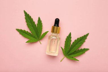 CBD yağlı cam şişeler, THC tentür, pembe arka planda kenevir yaprakları. Düzlük, minimalizm. Kozmetik CBD kenevir yağı