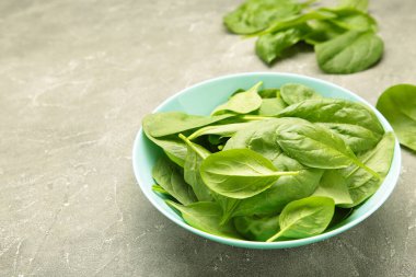 Gri arka planda naneli şeker kasesinde su damlaları olan bebek ıspanak yaprakları. Çiğ organik ıspanak yeşili. Üst görünüm