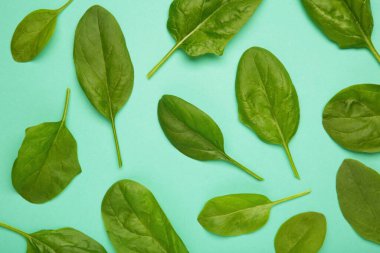 Nane arkaplanındaki yeşil ıspanak yapraklarının bileşimi.