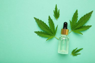 CBD yağlı cam şişeler, THC tentür, nane arkaplanda kenevir yaprakları. Düzlük, minimalizm. Kozmetik CBD kenevir yağı