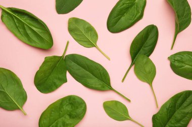 Pembe arka planda yeşil ıspanak yaprakları bileşimi.