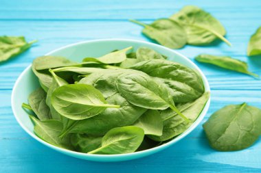 Mavi ahşap arka planda nane kabında su damlaları olan ıspanak yaprakları. Çiğ organik ıspanak yeşili. Üst görünüm