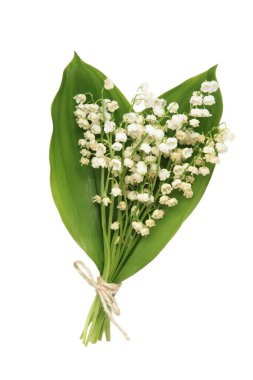 Mayıs çiçekleri. Vadi çiçekleri buketi beyaz arka planda izole edilmiş. Üst görünüm