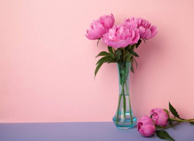 Pembe arka planda vazoda bir demet taze pembe şakayık. Metin için boşluk