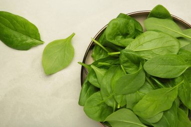 Arka planda taze ıspanak yaprakları. Üst görünüm