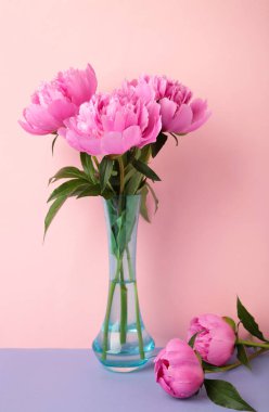 Pembe arka planda vazoda bir demet taze pembe şakayık. Dikey fotoğraf