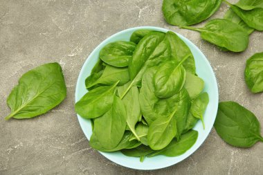 Gri beton arka planda nane aromalı ıspanak yaprakları. Üst görünüm.