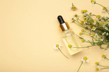 Bej arka planda gerekli yağ şişeleri ve papatya çiçekleri. Üst görünüm