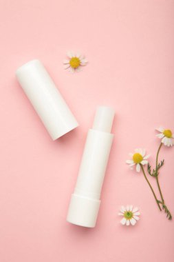 Dudak kremleri ve papatya çiçekleri pembe arka planda. Üst görünüm