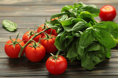 Kahverengi arka planda vişneli domates ve yeşil fesleğen. Üst görünüm